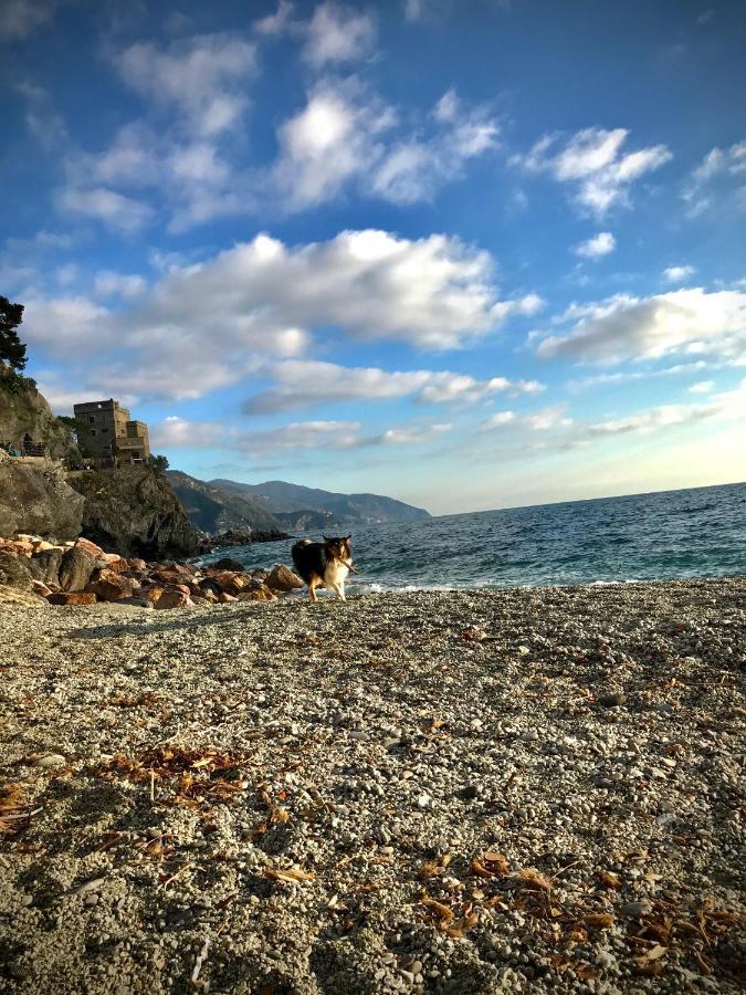 Ca Lea Beach House Monterosso al Mare Exterior foto